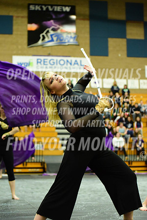 2019-WGI-Skyview-Armada-225