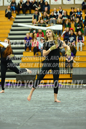 2019-WGI-Skyview-Armada-251