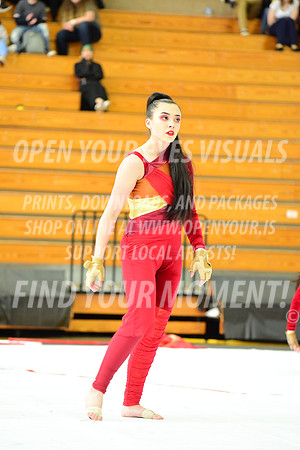 2019-WGI-Skyview-GlencoeHS-081