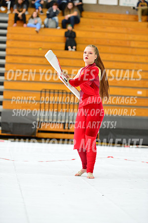 2019-WGI-Skyview-GlencoeHS-124