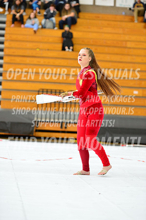 2019-WGI-Skyview-GlencoeHS-125