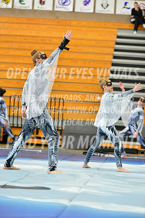 2019-WGI-Skyview-WestSalemHS-039