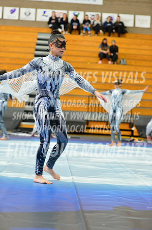 2019-WGI-Skyview-WestSalemHS-061