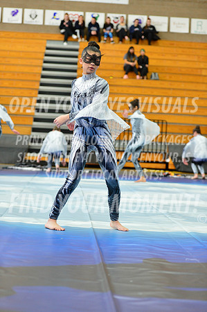 2019-WGI-Skyview-WestSalemHS-062