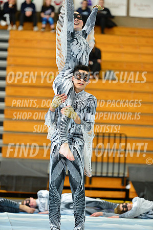 2019-WGI-Skyview-WestSalemHS-064