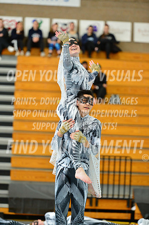 2019-WGI-Skyview-WestSalemHS-065