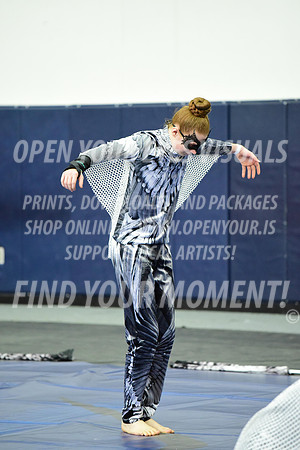 2019-WGI-Skyview-WestSalemHS-069