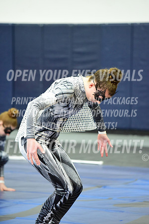 2019-WGI-Skyview-WestSalemHS-070