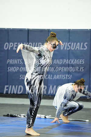 2019-WGI-Skyview-WestSalemHS-071