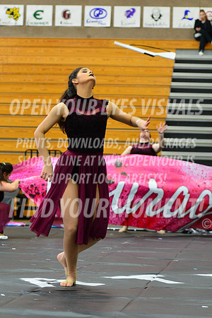 2019-WGI-Skyview-GrantsPassHS-124