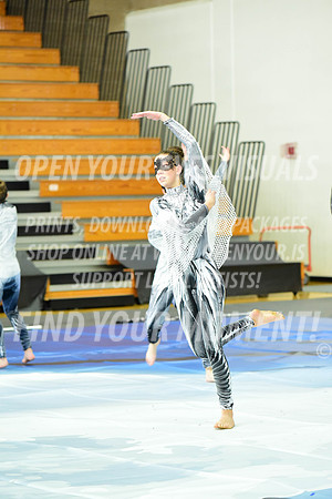 2019-WGI-Skyview-WestSalemHS-088