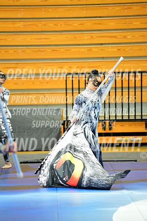 2019-WGI-Skyview-WestSalemHS-110