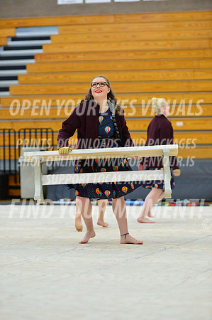 2019-WGI-Skyview-KamiakHSSA-039