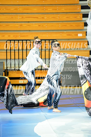 2019-WGI-Skyview-WestSalemHS-112