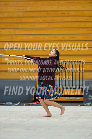 2019-WGI-Skyview-KamiakHSSA-049