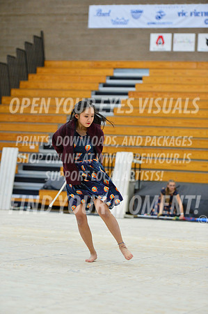2019-WGI-Skyview-KamiakHSSA-060