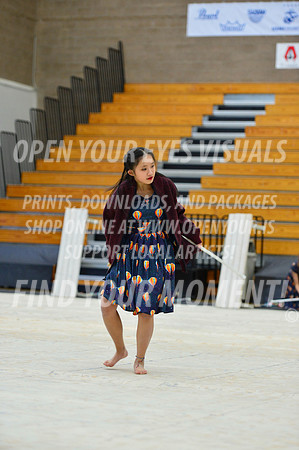 2019-WGI-Skyview-KamiakHSSA-061