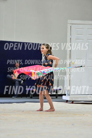 2019-WGI-Skyview-KamiakHSSA-093