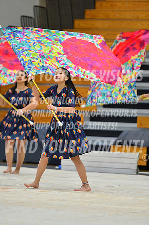 2019-WGI-Skyview-KamiakHSSA-097