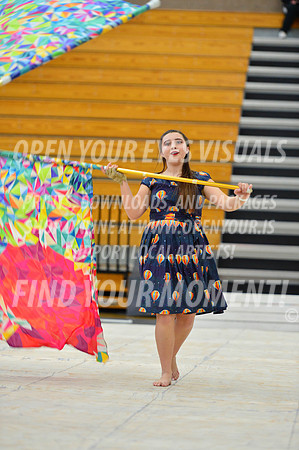 2019-WGI-Skyview-KamiakHSSA-098