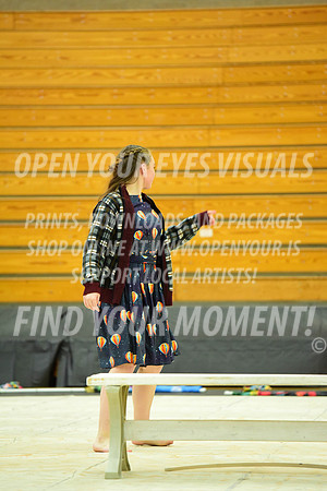 2019-WGI-Skyview-KamiakHSSA-118