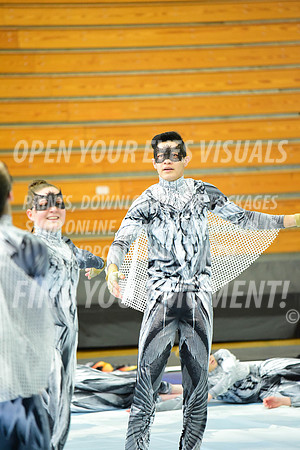 2019-WGI-Skyview-WestSalemHS-133