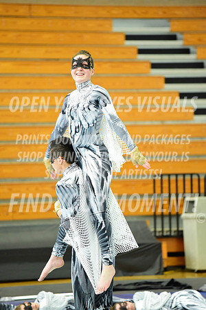 2019-WGI-Skyview-WestSalemHS-137