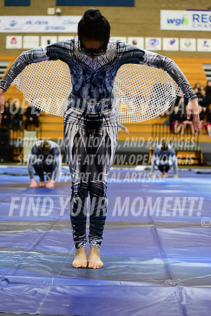 2019-WGI-Skyview-WestSalemHS-141