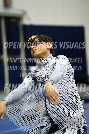 2019-WGI-Skyview-WestSalemHS-159