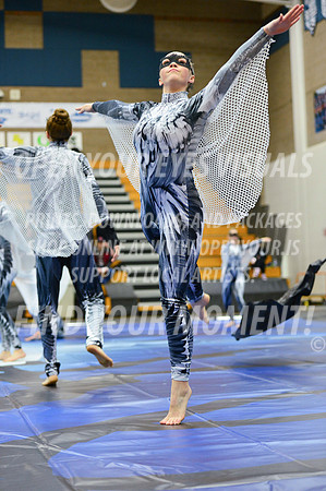 2019-WGI-Skyview-WestSalemHS-170