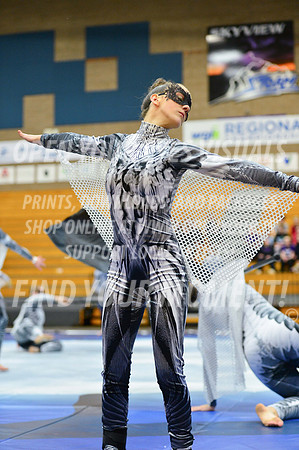2019-WGI-Skyview-WestSalemHS-177