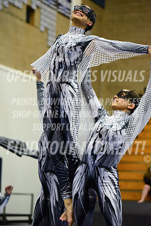 2019-WGI-Skyview-WestSalemHS-181