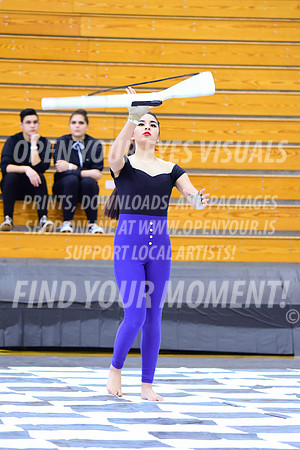 2019-WGI-Skyview-LibertyHS-027
