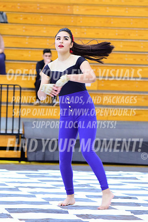 2019-WGI-Skyview-LibertyHS-035