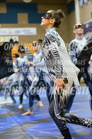 2019-WGI-Skyview-WestSalemHS-187