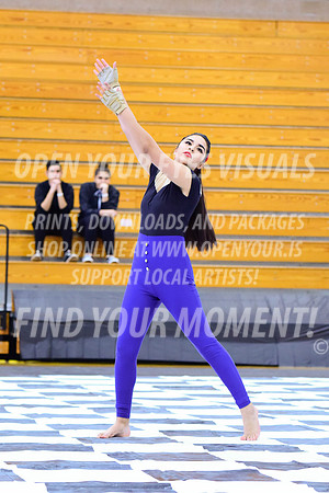 2019-WGI-Skyview-LibertyHS-037