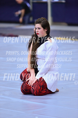 2019-WGI-Skyview-McMinnvilleHS-002