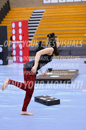 2019-WGI-Skyview-McMinnvilleHS-003