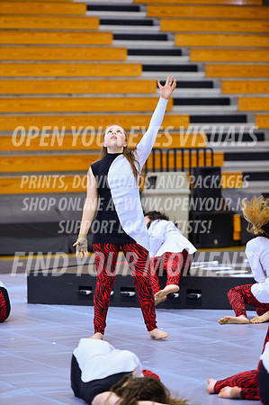 2019-WGI-Skyview-McMinnvilleHS-012