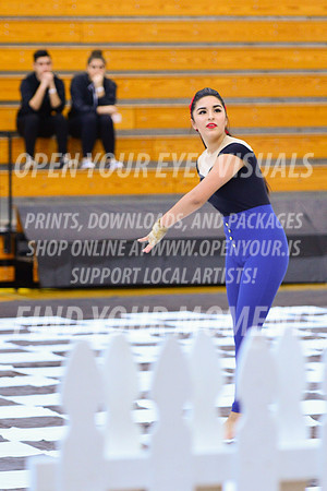 2019-WGI-Skyview-LibertyHS-066