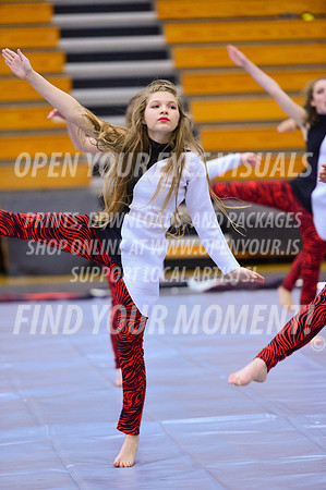 2019-WGI-Skyview-McMinnvilleHS-015