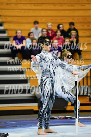 2019-WGI-Skyview-WestSalemHS-198