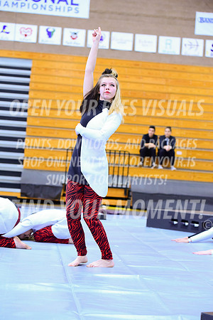 2019-WGI-Skyview-McMinnvilleHS-026