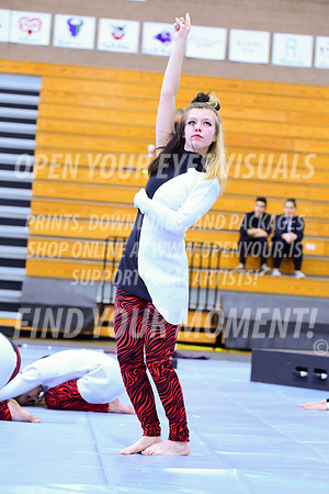 2019-WGI-Skyview-McMinnvilleHS-027