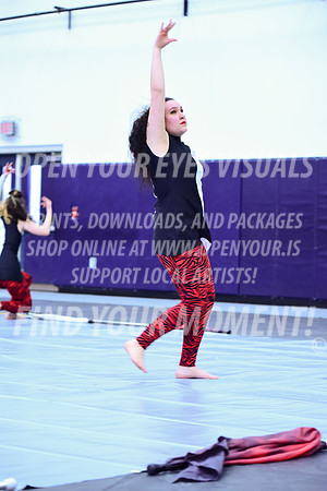2019-WGI-Skyview-McMinnvilleHS-042