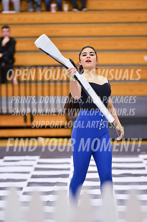 2019-WGI-Skyview-LibertyHS-119