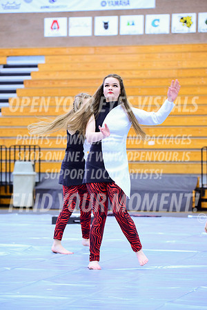 2019-WGI-Skyview-McMinnvilleHS-063