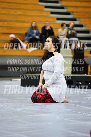 2019-WGI-Skyview-McMinnvilleHS-116