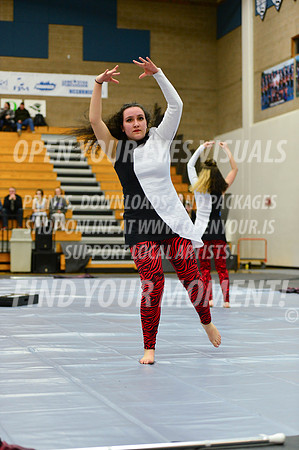 2019-WGI-Skyview-McMinnvilleHS-124