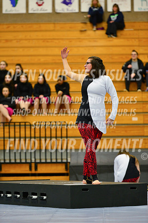 2019-WGI-Skyview-McMinnvilleHS-135